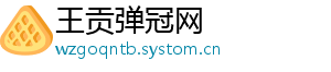 王贡弹冠网